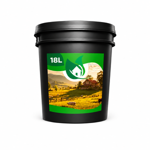 Tinta Óleo